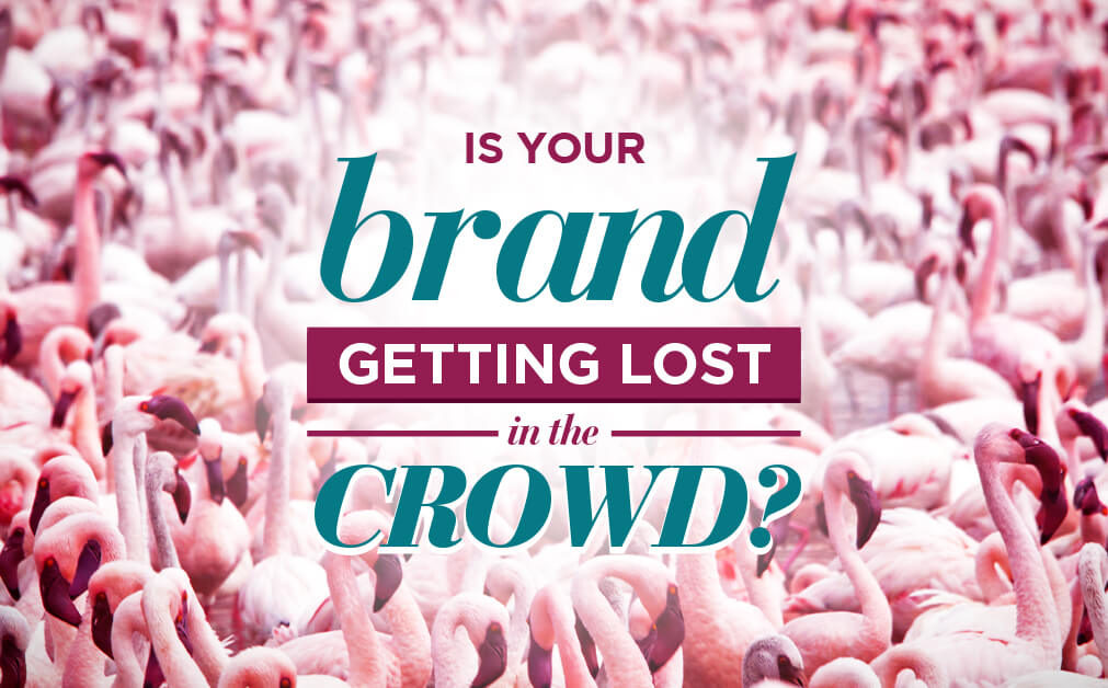 a creative content agency can find images like this one so your brand doesn't get doesn't get lost in the crowd