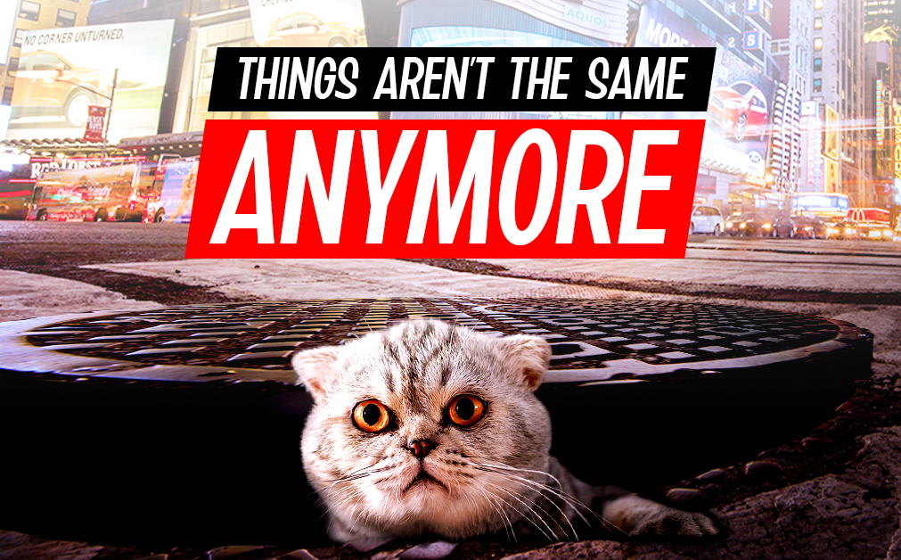 An image of a confused cat with a caption "Things aren't the same anymore