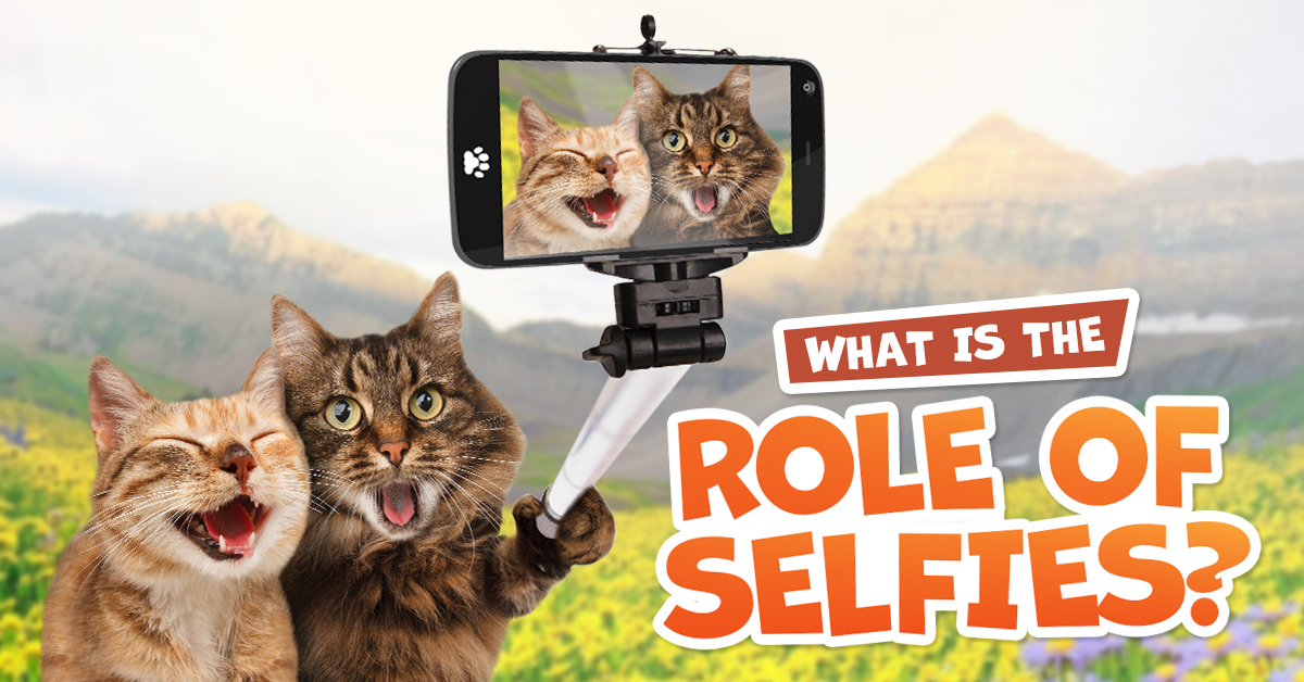 this image of the Role of Selfies in Visual Content Marketing shows 2 cats using a selfie stick