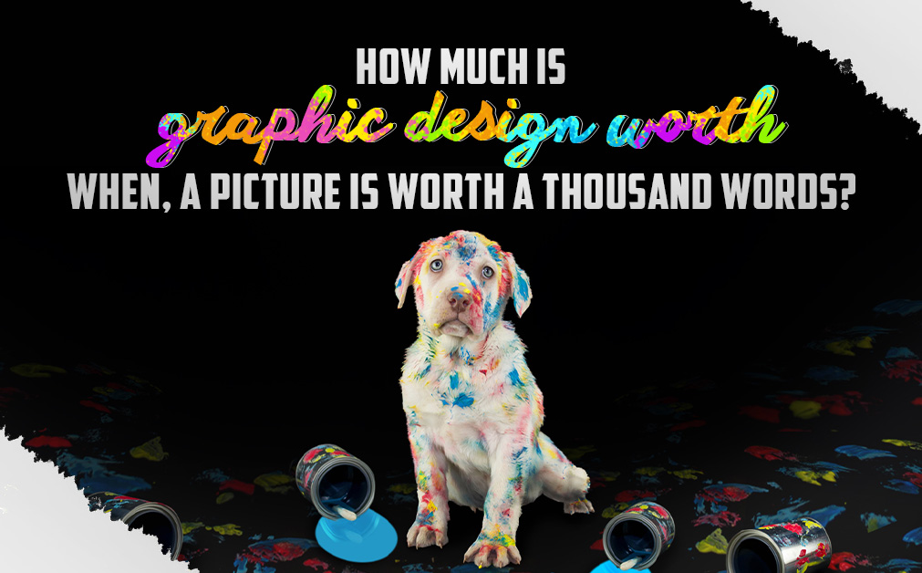 Dog with paint creative concept. How much is graphic design worth when, a picture is worth a thousand words?